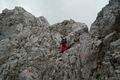43 alla Forcella del Camino...